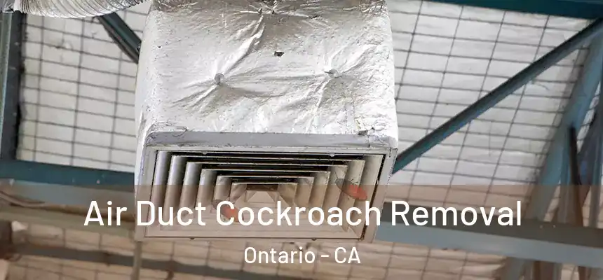  Air Duct Cockroach Removal Ontario - CA