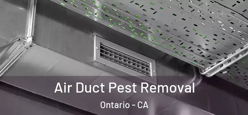  Air Duct Pest Removal Ontario - CA