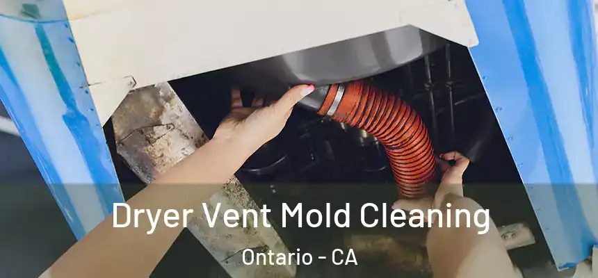  Dryer Vent Mold Cleaning Ontario - CA