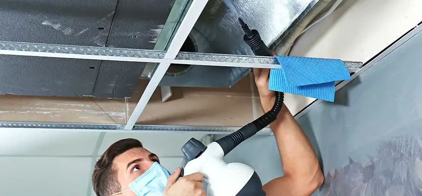 Our Air Duct Rodent Removal Services in Ontario, CA