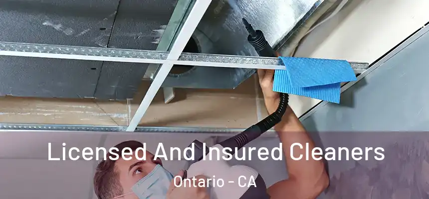 Licensed And Insured Cleaners Ontario - CA