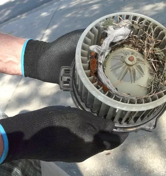 About Air Duct Mice Removal in Ontario, CA