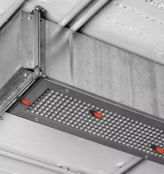 Affordable Insect Removal from Air Ducts in Ontario, CA