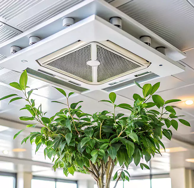 Why Homeowners & Businesses Trust Us in Ontario, CA